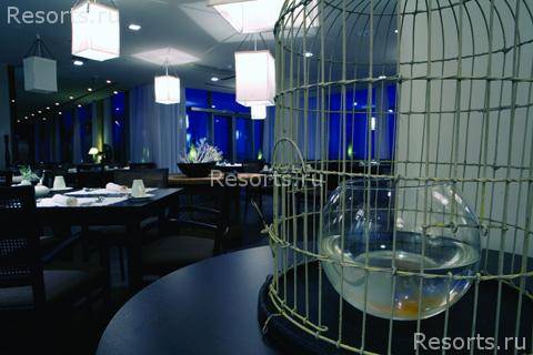 Bellevue Hotel 4